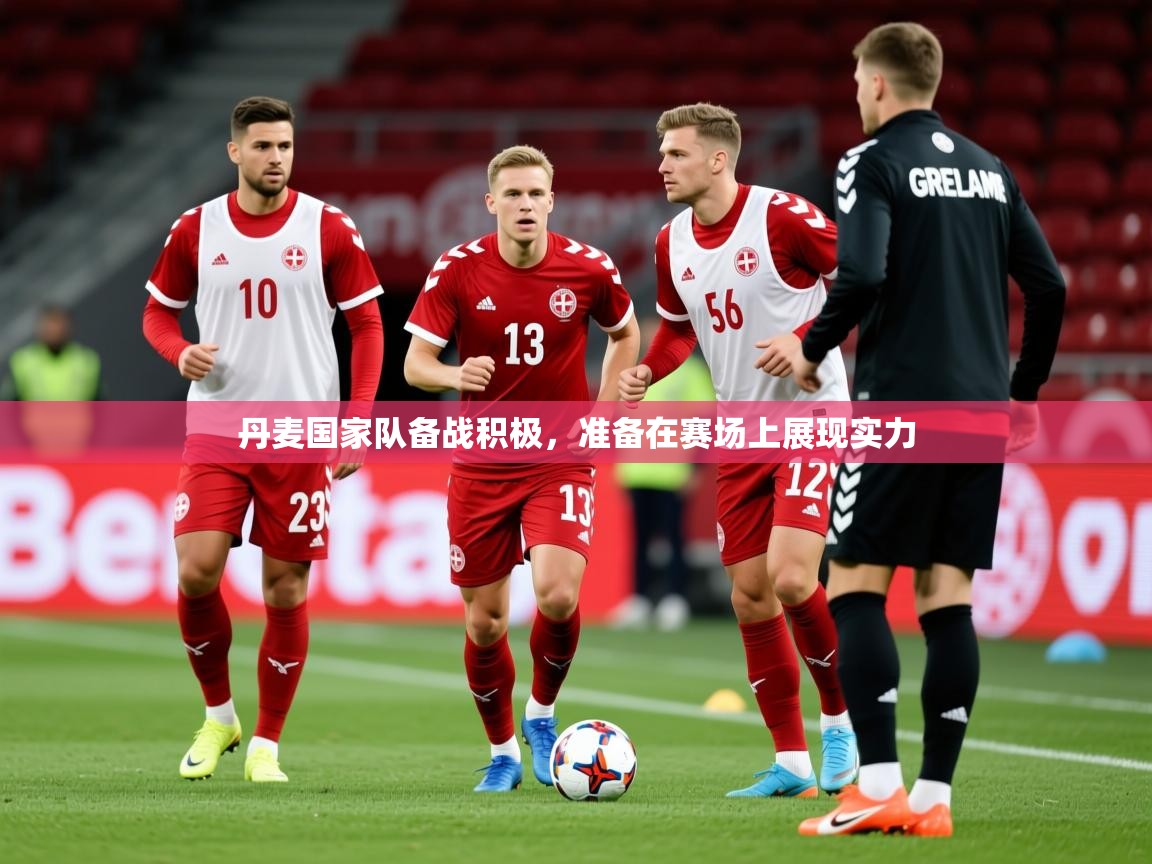 2025极速体育直播nba丹麦国家队备战积极，准备在赛场上展现实力